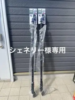 Item thumbnail for item da8250d9-a4c0-4222-9c1a-0c83cde66007