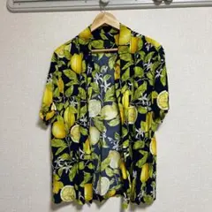 Item thumbnail for item 937e93ed-58d7-4411-b90f-d90a1606e7f6