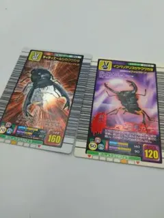 カブトムシ トレーディングカード 2枚セット