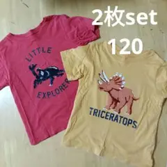 【085】恐竜 カブトムシ スパンコール 絵が変わるTシャツ セット まとめ売り