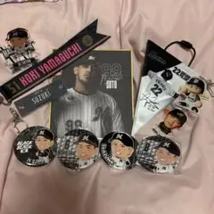 Item thumbnail for item 096ae6b3-b53b-4600-9e32-c27f63856869