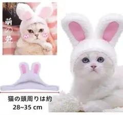 Item thumbnail for item dc1de5ce-7922-48b6-914a-5adfd87fe992