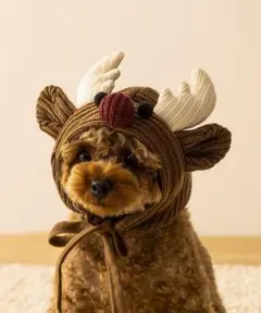 Item thumbnail for item 4f1897a3-3fdf-4f4a-8f2f-d640492eb953