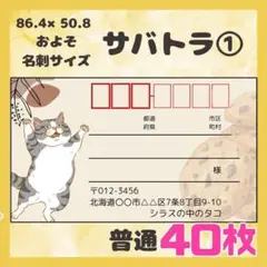 【サバトラ①】宛名シール　差出人シール　普通サイズ　40枚　シンプル　動物　ネコ