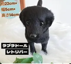 【黒】ラブラドールレトリバー フィギュア オブジェ インテリア ミニチュア