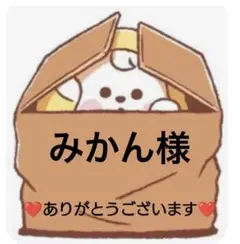 ★専用★