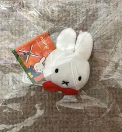 Item thumbnail for item 0c263a3b-a52f-41b8-b4d4-7f3351e2b80e