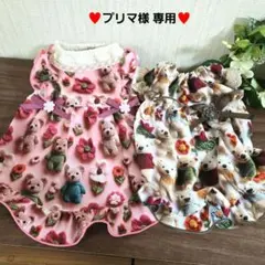 Item thumbnail for item 97001a35-adf5-4dda-89b0-ad044c8b5139