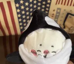 ナガノの水族館アザラシぬいぐるみシャチ着ぐるみ