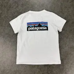 Patagonia P-6 Responsibili Tee 37567 M