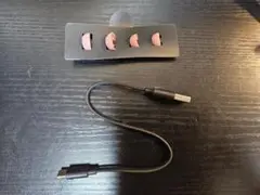 Item thumbnail for item 8133b192-b405-445d-bf33-b818a6534127