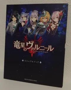 2025年最新】 竜星のヴァルニール 限定版 - PS4の人気アイテム