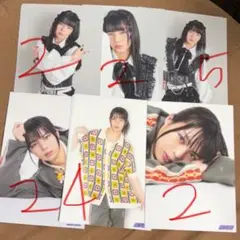 龍宮城 フォトセット 2種 ITARU