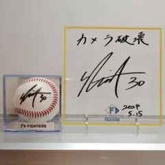 日本ハム 郡司裕也選手 直筆サイン入りエスコン実使用試合球 アクリルボード付き