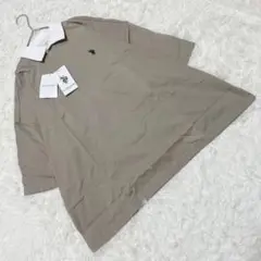 Item thumbnail for item 359d7f27-9e54-4071-a504-078164de4057
