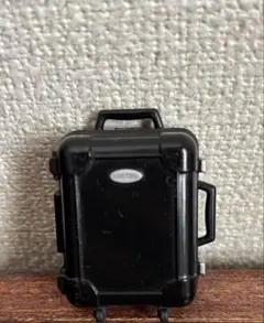 Item thumbnail for item 391cf87a-f561-4710-b117-56e471e6b021