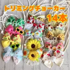 夏色Dトリミングチョーカー 14本