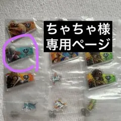 専用ページ:ちゃちゃ様
