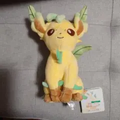 ポケモン　三英貿易　ぬいぐるみ　リーフィア