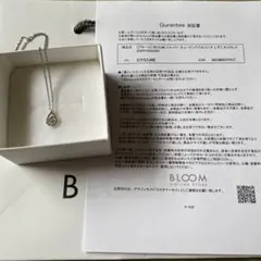 アクセサリー /ネックレス