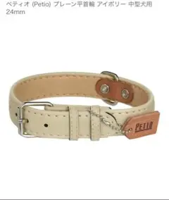 Item thumbnail for item fd1db4b6-74dc-4feb-8a86-9f9f15123cf8