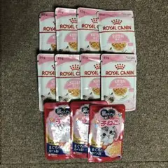 こねこ用ウエットフード