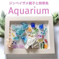 シーグラスアート❣️アクアリウム　飾る水族館　ジンベイザメ　クラゲ　海の贈り物
