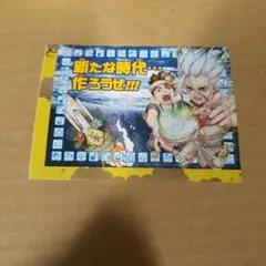ドクスト ドクターストーン ステッカー シール 新年 新たな時代作ろうぜ