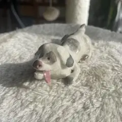 【値引きしました】犬の陶器