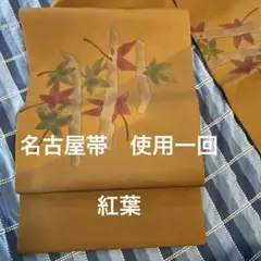 Item thumbnail for item 60c42446-8862-4a97-96d9-3d88775a781c