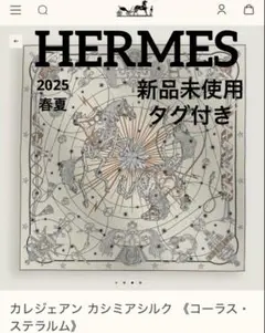 新品未使用　タグ付き　エルメス　ストール　2025春夏　コーラス・ステラルム 243912S 04_thumbnail_20?