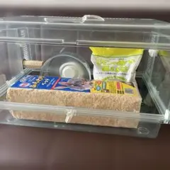 Item thumbnail for item 64a3cfcc-8533-4374-894c-ef7759bc49c7