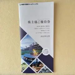 東急不動産 株主優待券