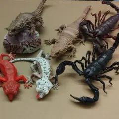 生き物ガチャガチャ