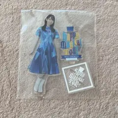 日向坂46 金村美玖 happy magical tour 2024 アクスタ