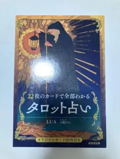 22枚のカードで全部わかるタロット占い 新品未使用