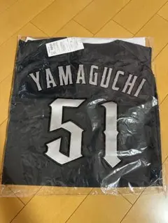 千葉ロッテマリーンズ 山口航輝