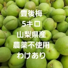 高田梅　7kg 2025年最新】高田梅 農薬の人気アイテム - メルカリ