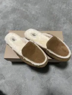 専用ページ