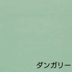 綿 ダンガリー 生地 ミントグリーン