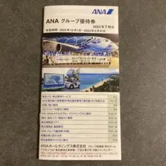 ANAグループ優待券