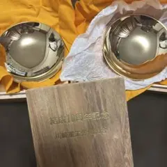 Item thumbnail for item 500f2600-81a7-4315-8fb4-508d47e00444