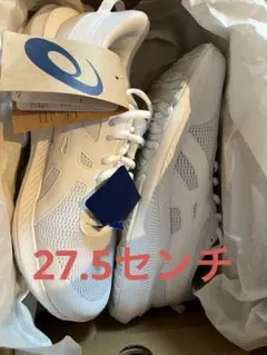 新品未使用　:asics JOLT 5 1011B964
