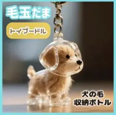 Item thumbnail for item 303532b9-a1da-4983-9a56-1e37faa2dd2e
