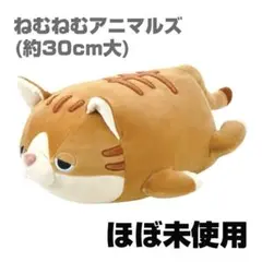 ほぼ未使用　ねむねむアニマルズ　ぬいぐるみ抱き枕もちもちクッション猫　茶トラネコ