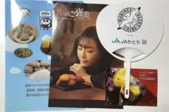 JAグループ千葉 JAかとり クリアファイル うちわ 松本まりか チラシ