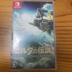 ゼルダの伝説 ティアーズ オブ ザ キングダム