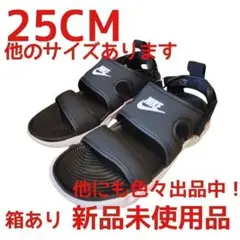 ナイキ(NIKE) ストラップサンダル ウィメンズ OWAYSIS 25CM