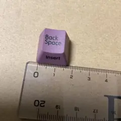 Realforce RC1 日本語　ダークモーブ Backspace、bsキー