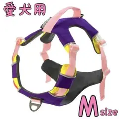 Item thumbnail for item d49b3076-e904-48ba-9c31-883a05093d29
